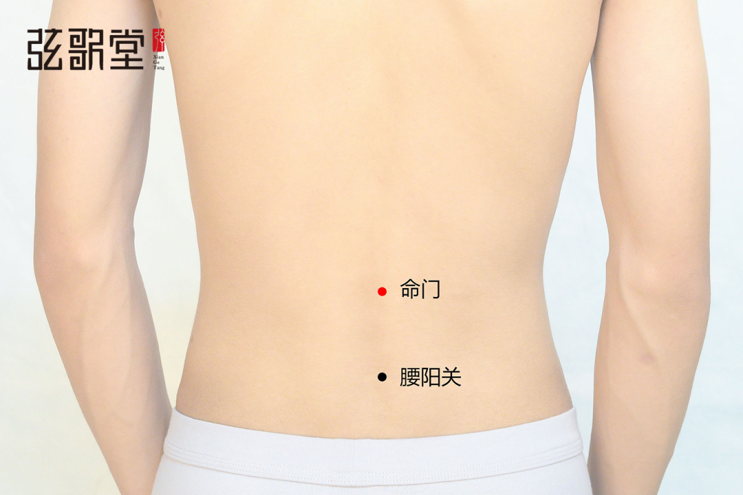 茶葉批發(fā)丨養(yǎng)生茶丨艾條的作用丨艾灸養(yǎng)生 茶葉批發(fā)丨養(yǎng)生茶丨艾條的作用丨艾灸養(yǎng)生