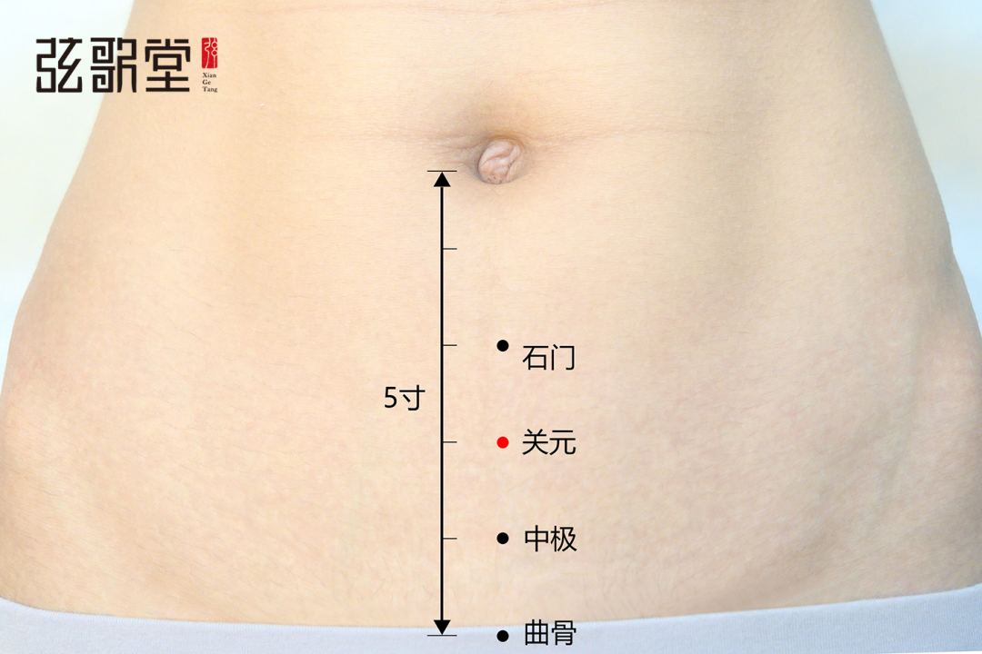 1680334576921646.png 弦歌堂艾養(yǎng)生