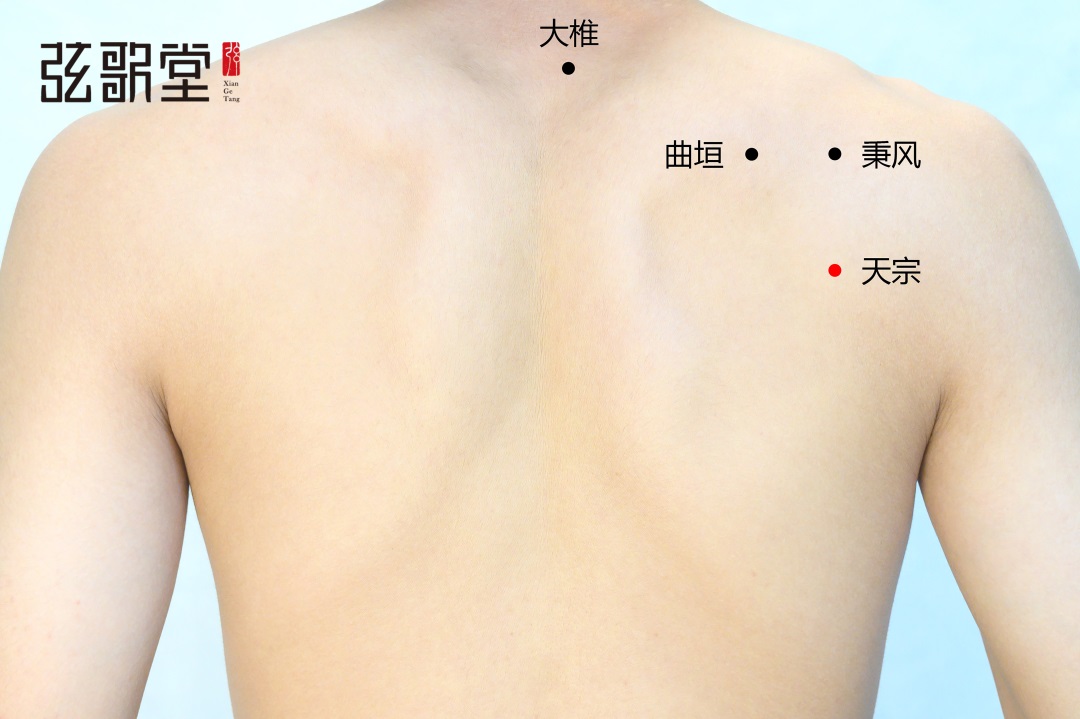 茶葉批發(fā)丨養(yǎng)生茶丨艾條的作用丨艾灸養(yǎng)生