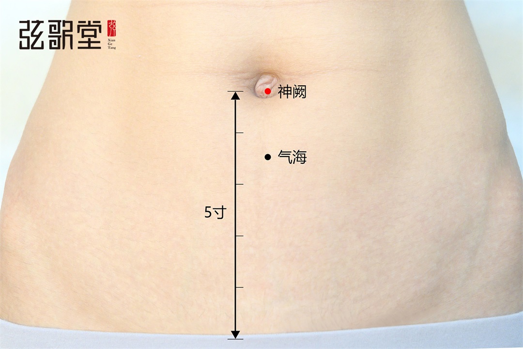 1689303843615399.jpg 弦歌堂艾養(yǎng)生