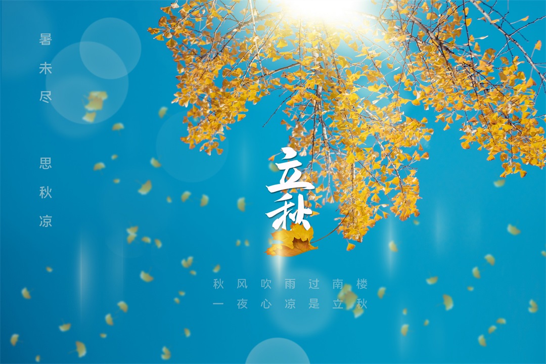 茶葉批發(fā)丨養(yǎng)生茶丨艾條的作用丨艾灸養(yǎng)生