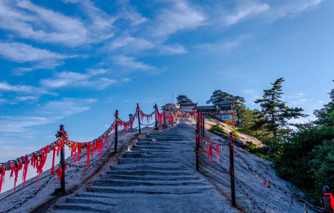 弦歌堂艾養(yǎng)生